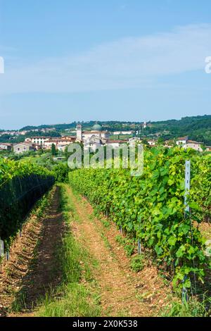 Puegnago sul Garda, church Chiesa di Santa Maria della Neve in district Raffa, vineyard in Brescia, Lombardia / Lombardy, Italy Stock Photo