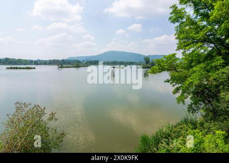 Provaglio d'Iseo, pond in Riserva naturale Torbiere del Sebino in Brescia, Lombardia / Lombardy, Italy Stock Photo