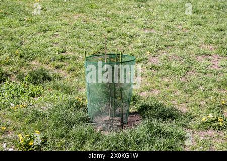 Plastic fiber young plant guard round fence mesh Stock Photo