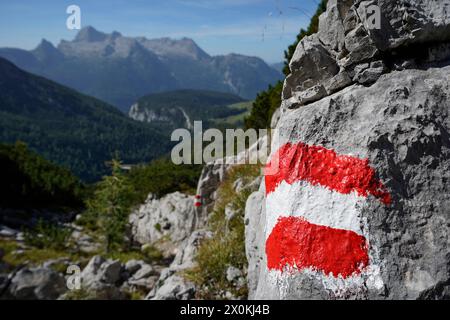 Austria, Salzburg province, Weißbach bei Lofer, Kallbrunnalm, mountain hike to the Seehorn, red-white-red hiking trail markings Stock Photo