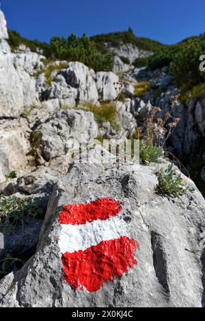 Austria, Salzburg province, Weißbach bei Lofer, Kallbrunnalm, mountain hike to the Seehorn, red-white-red hiking trail markings Stock Photo