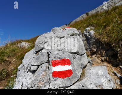 Austria, Salzburg province, Weißbach bei Lofer, mountain hike to the Seehorn, boulder, red-white-red hiking trail markings Stock Photo