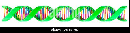 DNA spiral, closeup. 3D rendering isolated on white background Stock Photo