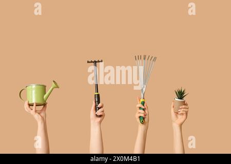 Female hands with gardening tools and plant on color background Stock Photo