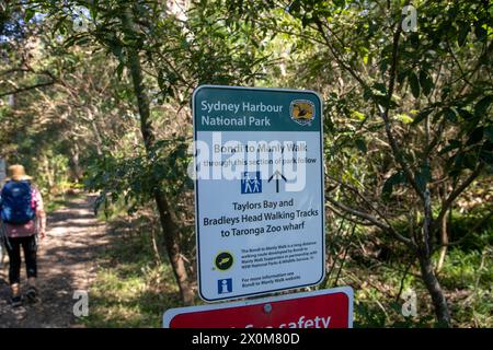 Sydney Harbour National park, woman hiking along Bradleys Head walking track towards Taylors Bay, part of Bondi to Manly scenic walk,Australia Stock Photo