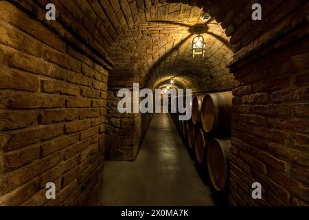 Underground Wine Cellar in Castello di Amorosa. Stock Photo