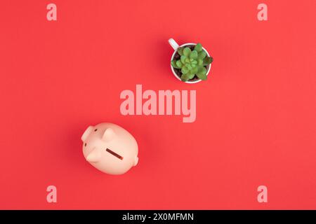 Piggy bank top view. Flat lay Stock Photo