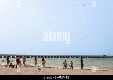 Progreso, Yucatan, Mexico. 22nd Mar, 2024. Tourists and locals enjoy a spring day at Progreso Beach, a more tranquil and laid-back atmosphere compared to the bustling resort city of Cancun. (Credit Image: © Shawn Goldberg/SOPA Images via ZUMA Press Wire) EDITORIAL USAGE ONLY! Not for Commercial USAGE! Stock Photo