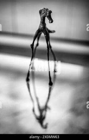 Dalinian horse reflected on glass table in Villajoyosa Stock Photo