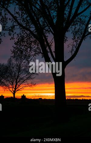 Trees are silhouetted against a fiery cloud sky during sunset. Stock Photo