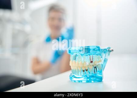 Plastic transparent 3d model of jaw lying on desk Stock Photo