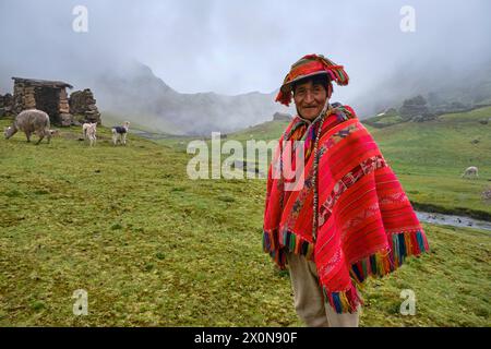 Indigenous peasant man in traditional clothing carry cauliflowers ...