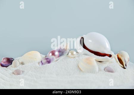 Seashells and pearls on the sand. Isolated on a gray background, free space for your decoration. Stock Photo