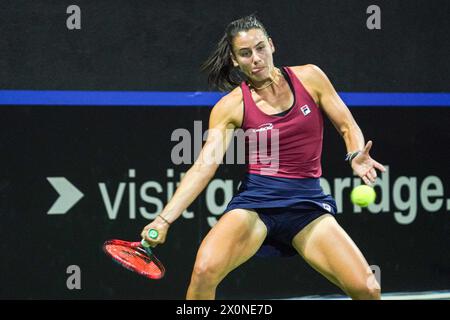 Orlando, United States. 12th Apr, 2024. American Emma Navarro pictured in action during the second match between US Navarro (WTA 21) and Belgian Vandewinkel (WTA 278) on the first day of the meeting between USA and Belgium, in the qualification round in the world group for the final of the Billie Jean King Cup tennis, in Orlando, Florida, USA, on Friday 12 April 2024. BELGA PHOTO MARTY JEAN LOUIS Credit: Belga News Agency/Alamy Live News Stock Photo