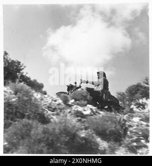 MOTORCYCLE TRIAL FOR DISPATCH RIDERS IN CYPRUS - The starter gives the ...