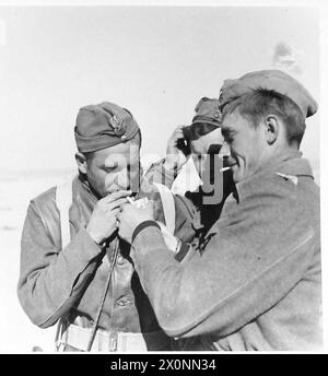 THE POLISH ARMY IN THE WESTERN DESERT CAMPAIGN, 1940-1942 - Polish soldiers sharing a cigarette during a break. The soldier on the left might be Staff Sergeant Władysław Denasiewicz who created a small collection of photographs (around 300) about the Brigade in Tobruk and afterwards. These pictures taken at the extreme forward positions around Carmuset er Regem (Karmusat ar Rijam) area near Gazala, show infantry and artillery units of the Polish Independent Carpathian Rifles Brigade facing German and Italian forces Polish Army, Polish Armed Forces in the West, Independent Carpathian Rifles Bri Stock Photo