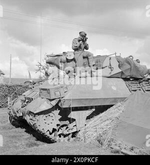 THE BRITISH ARMY IN NORTH-WEST EUROPE 1944-1945 - M10 17-pdr tank destroyer (Achilles) of 117 Battery, 75th Anti-Tank Regiment, Holland, 4 October 1944 British Army Stock Photo