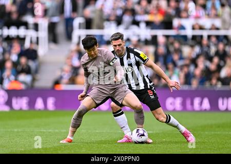 Newcastle Upon Tyne, UK. 13th Apr, 2024. Newcastle, England, Apr 13th 2024: Son Heung-min of Tottenham and Fabian Schar of Newcastle United in dispute for posession during the Premier League football match between Newcastle United and Tottenham Hotspur at St James Park in Newcastle, England (Will Palmer/SPP) Credit: SPP Sport Press Photo. /Alamy Live News Stock Photo