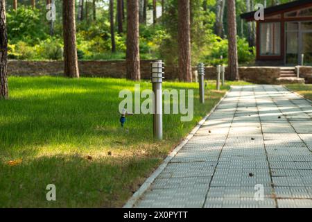 Stone path through serene forest park, lush green grass on one side, trees casting shadows on the other. Wooden house in distance, lit by modern metal Stock Photo