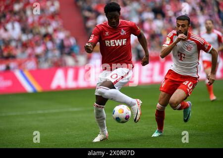 Munich, Germany. 13th Apr, 2024. MUNICH, GERMANY - APRIL 13: Faride Alidou of 1. FC Koeln and Noussair Mazraoui of Bayern Muenchen during the Bundesliga match between FC Bayern Muenchen and 1. FC Koeln at Allianz Arena on April 13, 2024 in Munich, Germany.240413 SEPA 24 013 - 20240413 PD3668 Credit: APA-PictureDesk/Alamy Live News Stock Photo