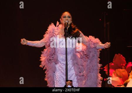 Madrid, Spain. 13th Apr, 2024. Isabel Pantoja performs on stage at Wizink Center on April 13, 2024 in Madrid, Spain. Credit: Sipa USA/Alamy Live News Stock Photo