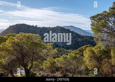 Hillside view framed by green trees under a bright sky with streaky clouds, with rolling hills in the background. High quality photo Stock Photo