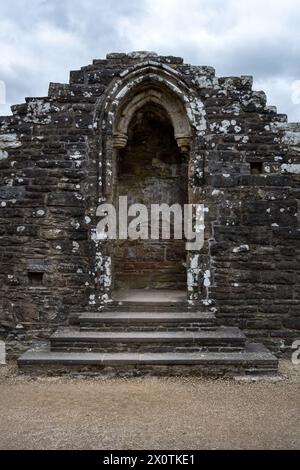 Detail of Tintern abbey, the first Cistercian house in Wales, Monmouthshire Stock Photo