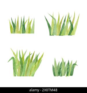 Set of watercolor grass. Simple cartoon green plants vector illustration. Meadow elements Stock Vector