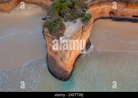 Aerial view of coastal cliff protruding out over a sandy beach at Anglesea on the Great Ocean Road in Victoria, Australia Stock Photo