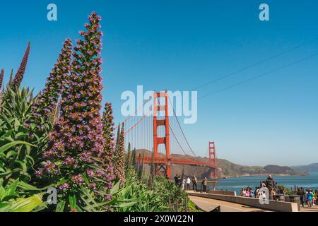 San Francisco, California, April 9, 2024.    Blooming flora frames the majestic structure of San Francisco's famed bridge. Stock Photo