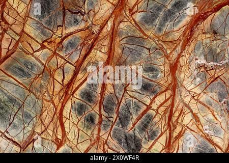 Beautiful Rainforest Green Extra - marble background, texture for your personal design project. Stock Photo