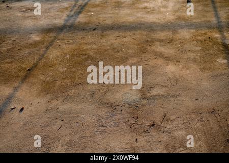 Dry brown leaves on grey concrete floor. Backgrounds The dry leaves on the cement floor. Stock Photo