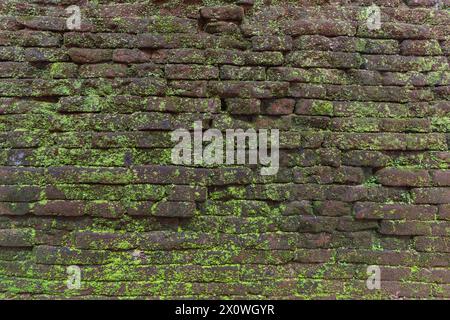 Attractive stone wall background, vintage texture with green moss. Stock Photo