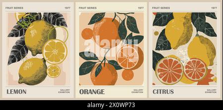 Set of Abstract Fruit Market retro posters.  Stock Vector