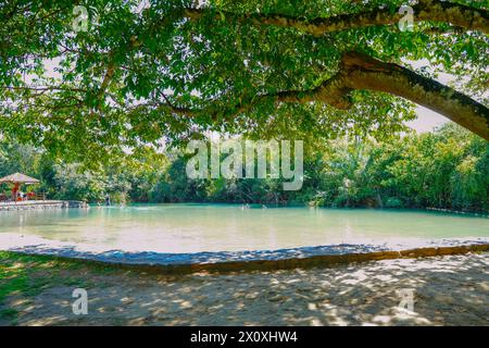 Partial view of the Formoso River, in the municipal resort, in Bonito, in Mato Grosso do Sul Stock Photo