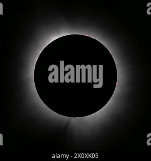 Totality during the solar eclipse on April 8, 2024, with solar prominences and the solar corona visible. Stock Photo