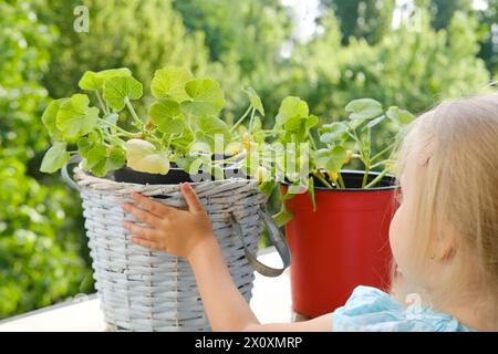 little child 4 years old, girl helps mom to transplant young pumpkin foliage, vegetables in garden, concept happy childhood in village, enjoyment of p Stock Photo