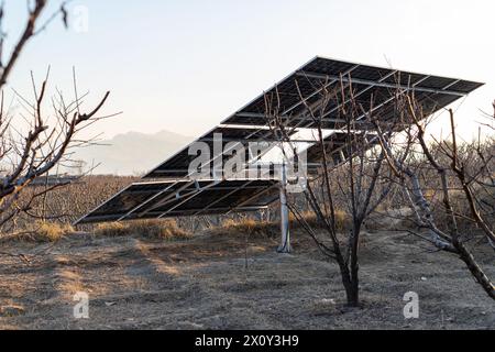 Back side of solar panels on green grass and sky background. Solar power plant. Blue solar panels. Alternative source of electricity. Solar farm. Stock Photo