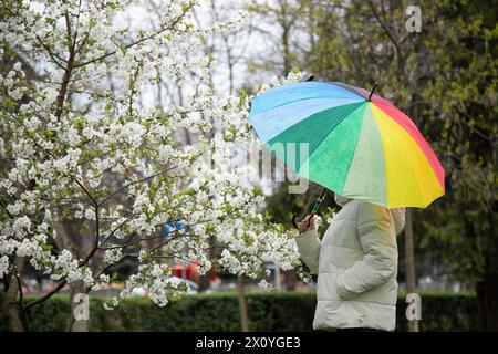 Young woman with umbrella in park on spring day Stock Photo
