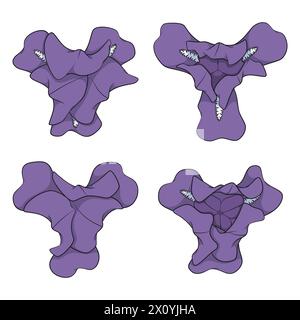 Set of color illustrations with purple iris flowers. Isolated vector objects on white background. Stock Vector