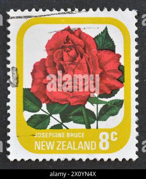 Cancelled postage stamp printed by New Zealand, that shows Rose 'Josephine Bruce', circa 1976. Stock Photo