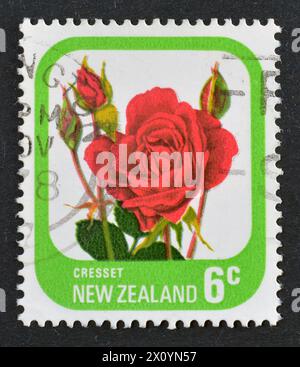 Cancelled postage stamp printed by New Zealand, that shows Rose 'Cresset', circa 1976. Stock Photo