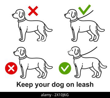 Dog walking on leash allowed, person keep doggy pet on lead in public place icon. Prohibition sign canine animal stroll outdoor without collar. Vector Stock Vector