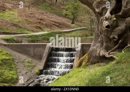 Carding Mil Valley countryside Stock Photo