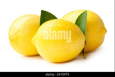 Side view of yellow lemons with green leaves in stack is isolated on white background with clipping path. Stock Photo