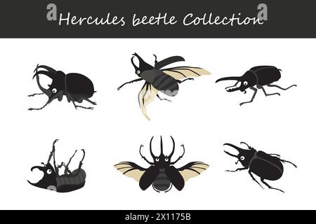 hercules beetle collection. Vector illustration. Isolated on white background. Stock Vector