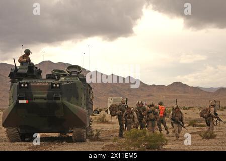 Marines and sailors with Company C, 1st Battalion, 2nd Marine Regiment, unload from amphibious assault vehicles, Jan. 20, 2010 before storming Combat Center Range 210. The company was forced to halt training due to inclement weather conditions. Stock Photo