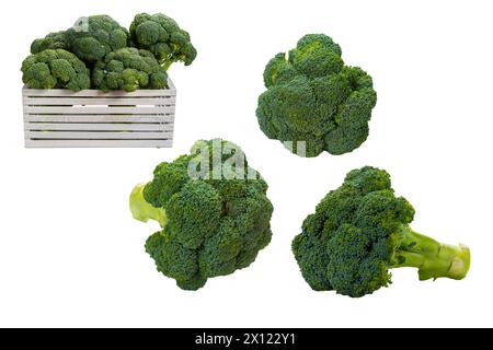 Fresh tasty broccoli isolated on white background. Stock Photo