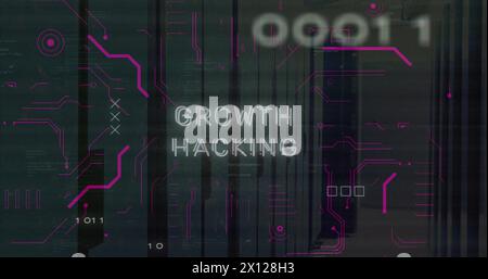 Image of growth hacking text and binary codes over computer language on server room Stock Photo