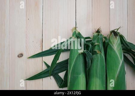 Flatlay Of Three Unhusked Ears Of Sweet Corn Laying Vertically O Stock Photo